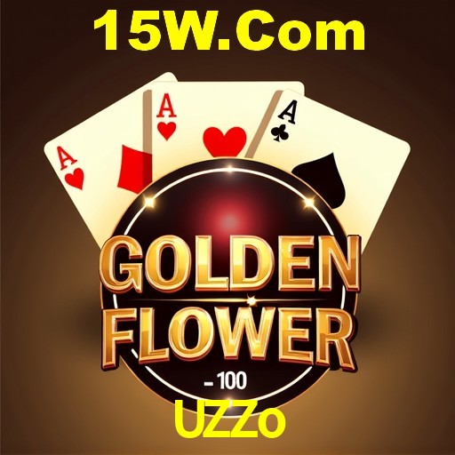Interface Premium UZZo
